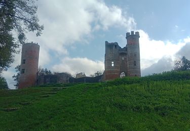 Tour Wandern Saint-Siméon-de-Bressieux - autour de st Siméon de bressieux - Photo