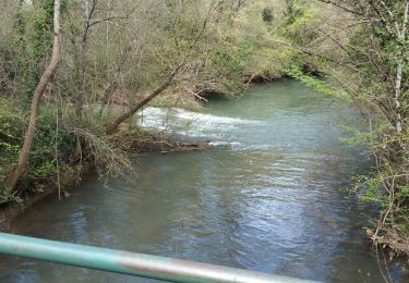 Tocht Stappen Bras - 20190414 reco partielle Bras Le Tombereau - Photo