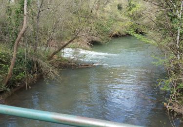 Excursión Senderismo Bras - 20190414 reco partielle Bras Le Tombereau - Photo