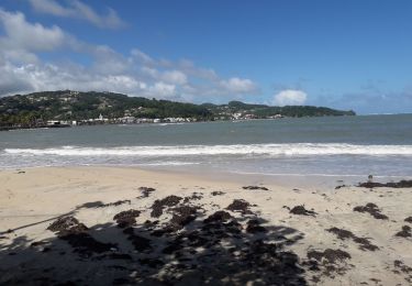 Tour Wandern Le Robert - Pointe Savane plage des Resignier - Photo