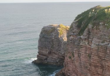 Trail Walking Hendaye - Sentier littoral - Photo