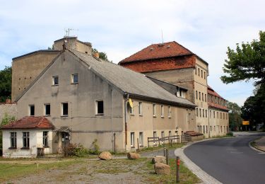 Percorso A piedi Mücka - Mikow - Wanderweg Gelber Strich - Photo