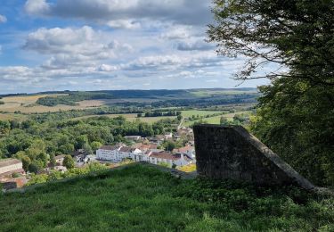 Percorso Marcia Joinville - dans joinville depuis le Château du Haut - Photo