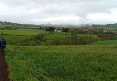 Trail Walking Le Monastier-sur-Gazeille - 2 Stevenson Le Monastier sur Gazeille - Le Bouchet St Nicolas - Photo