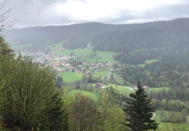 Tocht Noords wandelen Morbier - Roche Devant - 4 chemins - Photo