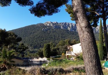 Trail Walking La Valette-du-Var - La Ripelle-24-03-21 - Photo
