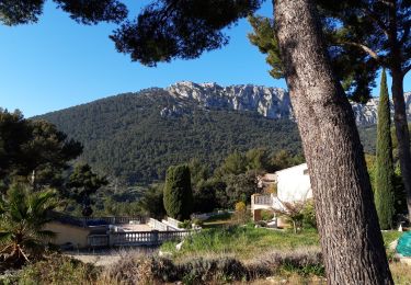 Excursión Senderismo La Valette-du-Var - La Ripelle-24-03-21 - Photo