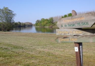 Tour Zu Fuß Barsac - Boucle locale de Barsac - Photo