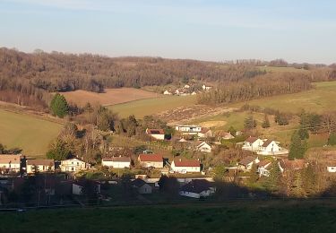 Tour Wandern Véron - Veron 250114 - Photo