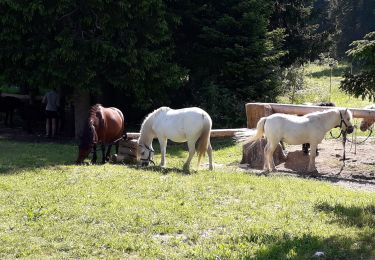 Tocht Stappen Autrans-Méaudre en Vercors - 01 07 19 - Photo
