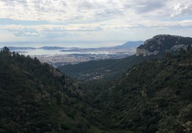 Tour Wandern Le Revest-les-Eaux - Le Revest - Mont Caume - Photo