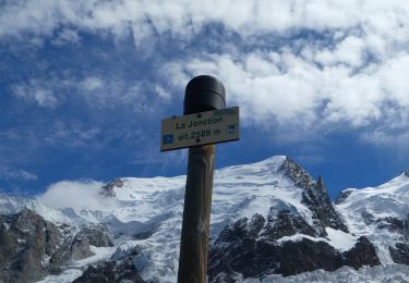 Excursión Senderismo Chamonix-Mont-Blanc - TRK000 - Photo