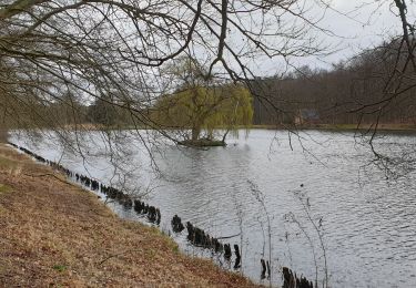 Trail Walking Tervuren - 2020-03-15 - Tervuren - Étangs de Vossem - Photo