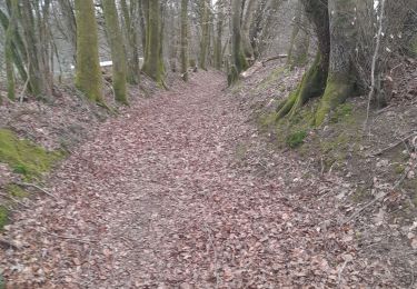 Tour Wandern Libin - parcours de 10km. Reconnaissance des différents parcours de la marche ADEPS Points Verts à  Villance. - Photo