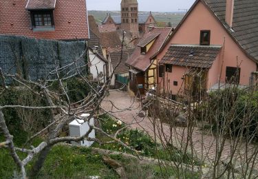 Tocht Stappen Gueberschwihr - Promenade circulaire Kuckuckstei - Photo