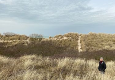 Excursión Senderismo De Haan - Le Coq (De haan) 1 - Photo