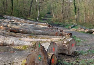 Percorso Marcia Prémontré - Laon - Photo