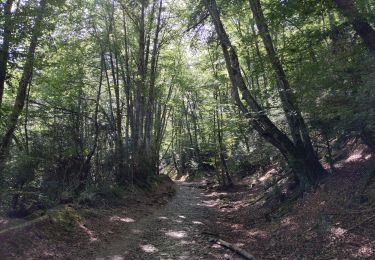 Percorso Marcia Erro - Compostelle - Camino Frances : J3 de Espinal à Zabaldika - Photo