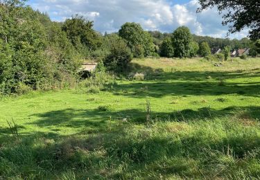 Tour Elektrofahrrad Sainte-Eulalie - Moncelle /RIOM par la voie verte - Photo