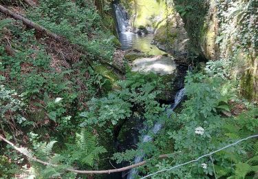 Tocht Stappen Saint-Étienne-Vallée-Française - saint Étienne vallée francaise - Photo