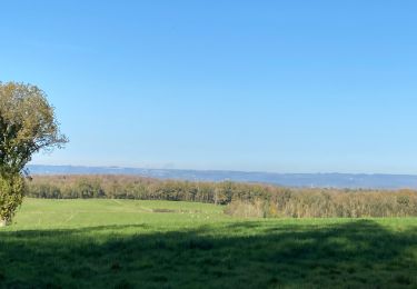 Trail Walking Hotton - Marenne - Photo