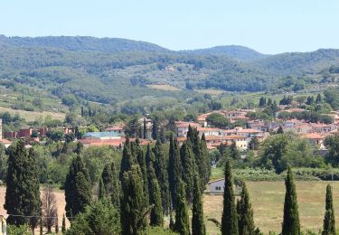 Randonnée A pied San Casciano in Val di Pesa - IT-SC3 - Photo