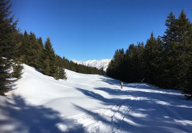 Percorso Racchette da neve Manigod - La Croix Colomban - Photo