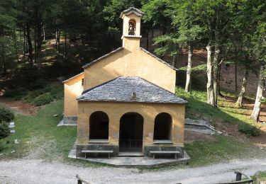 Percorso A piedi Cannero Riviera - R20 Cannero - Oggiogno - Trarego - Cima l'Alpe - Monte Spalavera - Pian Puzz - Archia - Passo Folungo - Monte Zeda - Photo