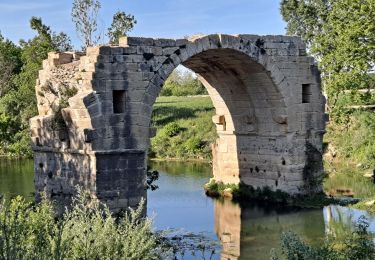 Tour Wandern Villetelle - Oppidum Ambrussum - Photo