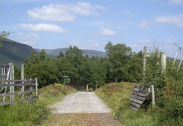 Trail On foot  - Morrone Circular - Photo