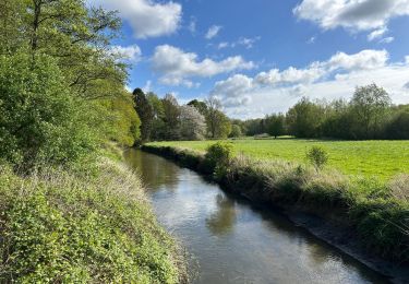 Tour Wandern Overijse - #230220 - Terlanen, Schaatbroekbos, GR579 - Photo