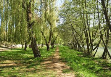 Trail Walking Boadilla del Camino - 26.04.18 Boadilla del Camino--Carrion de los Condes - Photo