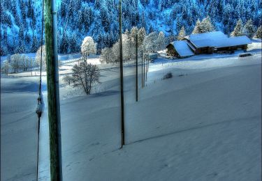 Trail On foot Flühli - Hilferenhüttli - Hilferenpass - Photo