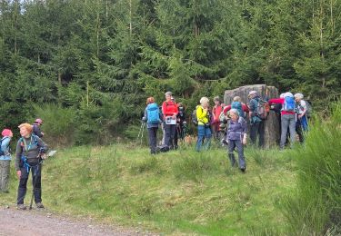 Percorso Marcia Lutzelhouse - MF Petit Wisches - Roche solaire  - Sculptures EH 15 km - Photo
