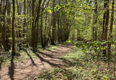 Tocht Stappen Bacouel-sur-Selle - Bacouel sur Selle - Photo