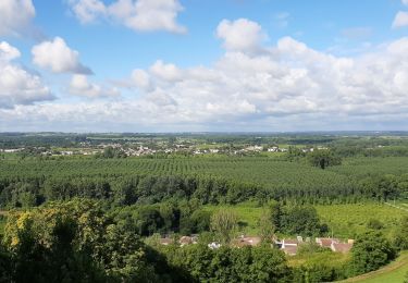 Trail Walking Sainte-Croix-du-Mont - Circuit Ste. Croix du mont / Verdelais / St. Maixant - Photo