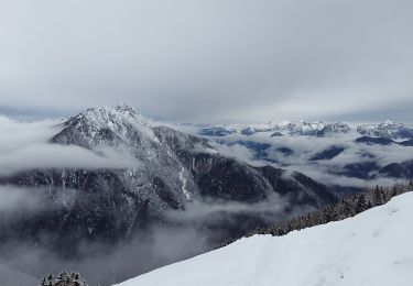 Excursión A pie Tarvisio - Sentiero del Pellegrino - Photo