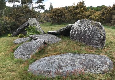 Trail Walking Monteneuf - 05.05.2019 - Monteneuf à Porcaro à Guer - Photo