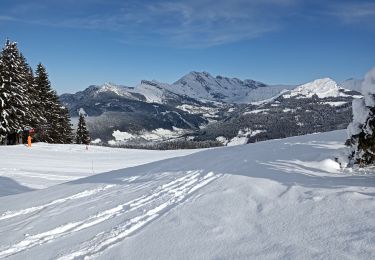 Excursión Raquetas de nieve Les Villards-sur-Thônes - Plateau de Beauregard - Photo