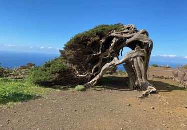 Excursión Senderismo Frontera - Sabinosa - El Sabinar - Ermita Virgen de Los Reyes (El Hierro) - Photo