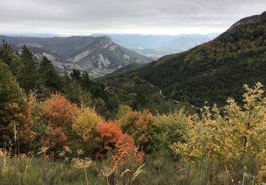 Tocht Mountainbike La Piarre - Col d'Arron, col des Praux, Pré Pourri - Photo