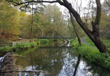 Tocht Te voet Blieberg - Parcours natagora - Photo