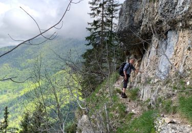 Trail Walking Saint-Pierre-d'Entremont - Chartreuse Cirque de Même pas du Ruat et de la Mort  - Photo