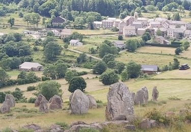 Randonnée Marche Borée - Autour de Borée - Photo