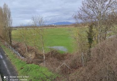 Trail Walking Heimsbrunn - Heimsbrunn - Photo