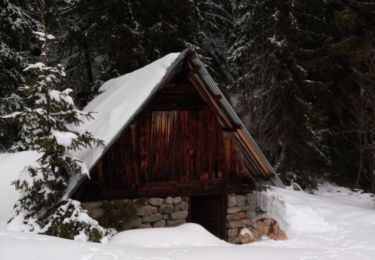 Trail Touring skiing Le Lauzet-Ubaye - Vallon de l'Ambouin - Crête du Laveret - Photo