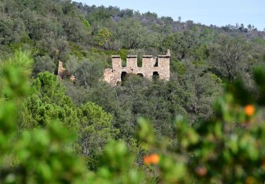 Tour Wandern Roquebrune-sur-Argens - La Bergerie - Piste des Clapiers - Bastide Abbe - Photo