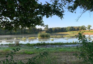 Tocht Stappen Savigneux - Savigneux le Fond de Juis Savigneux - Photo