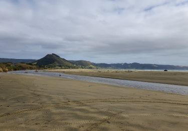 Excursión A pie Te Hiku Community - Te Araroa - 01 Northland - b Ahipara to Puketi Recreation Centre, Waiare Rd - Photo