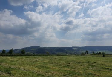 Tocht Stappen Stoumont - rando stoumont 6-05-2022 - Photo